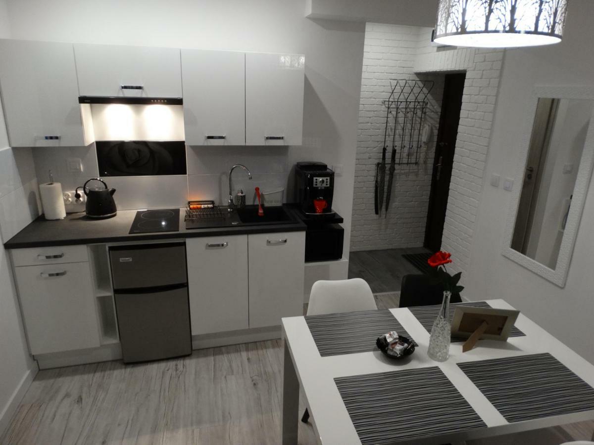 Apartament "Eli" Stary Toruń Kültér fotó